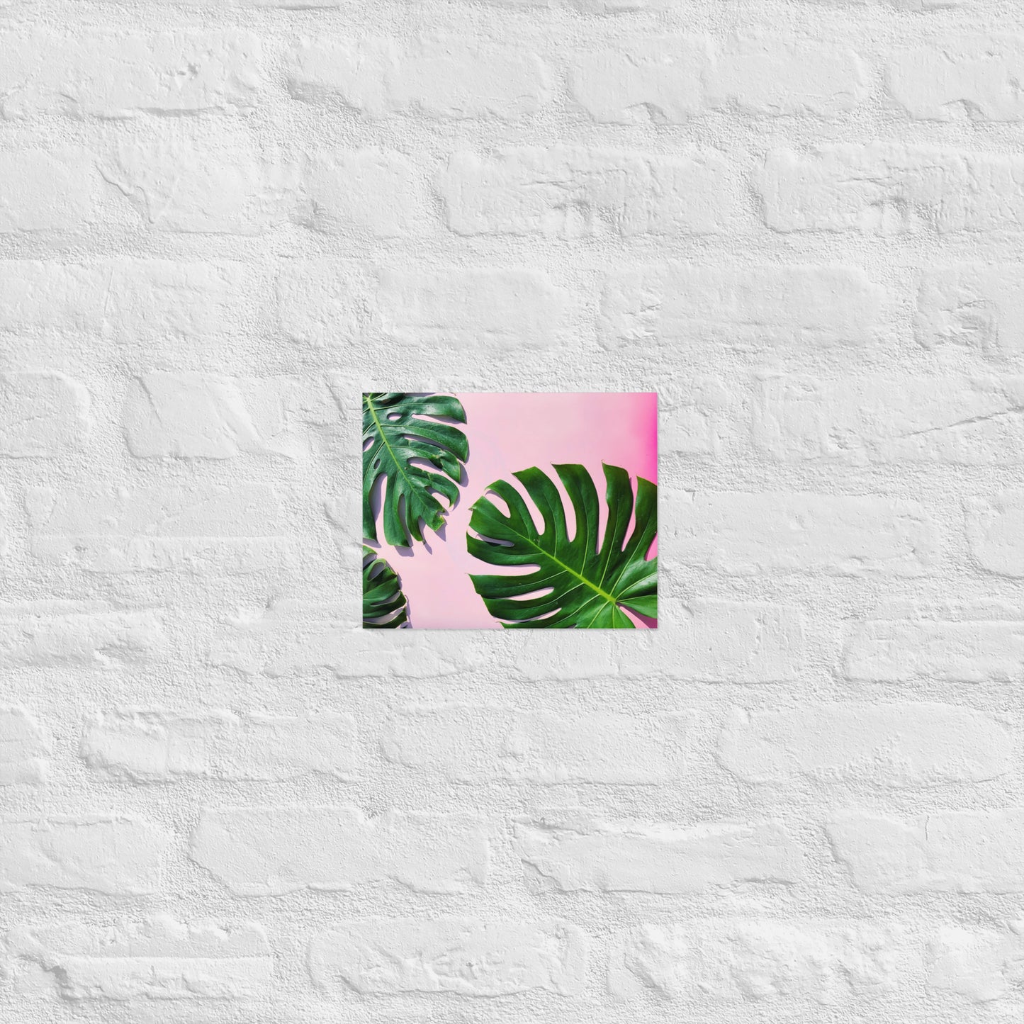 PINK & MONSTERA