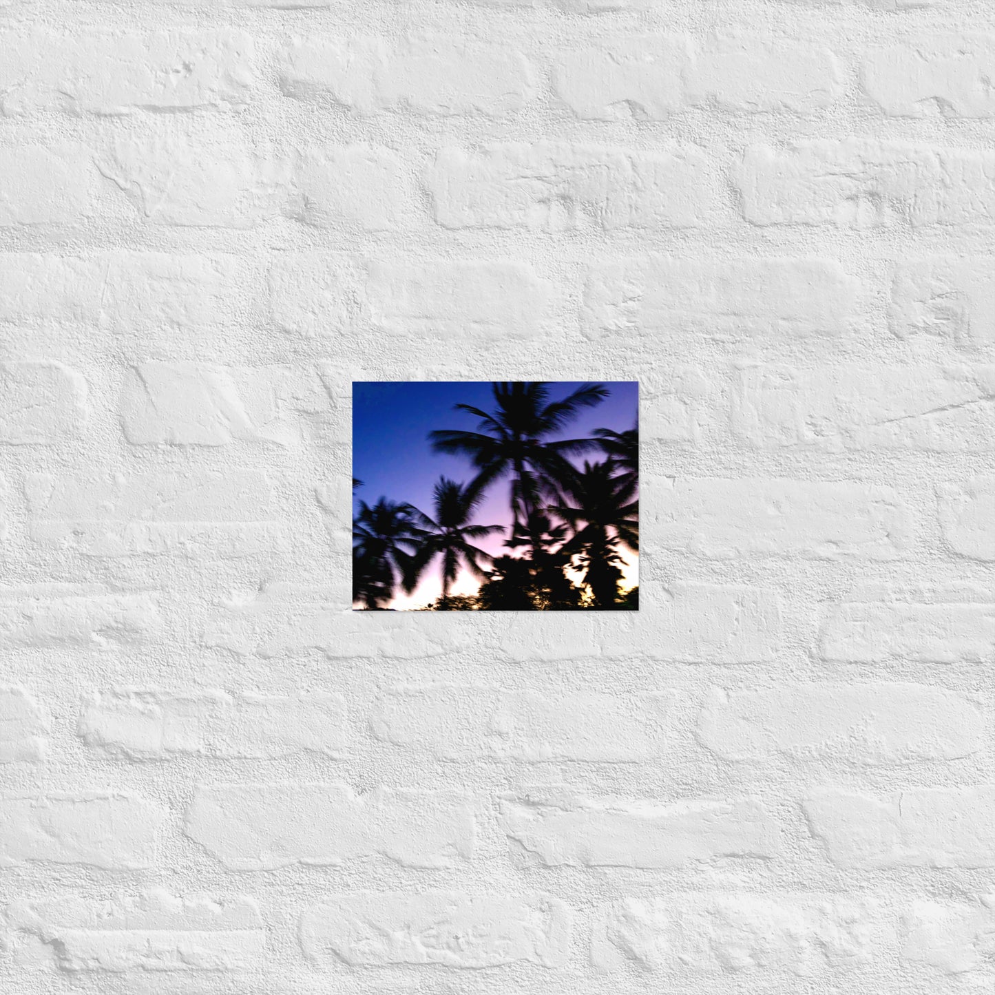 DREAMY PALMS