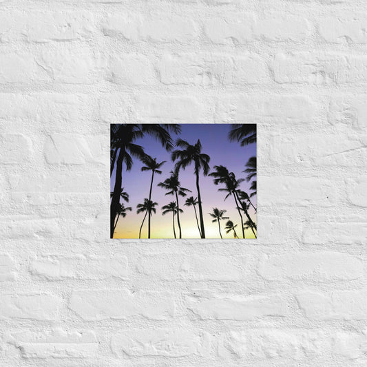 GOLDEN HOUR PALMS