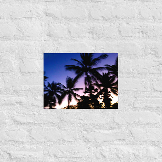DREAMY PALMS